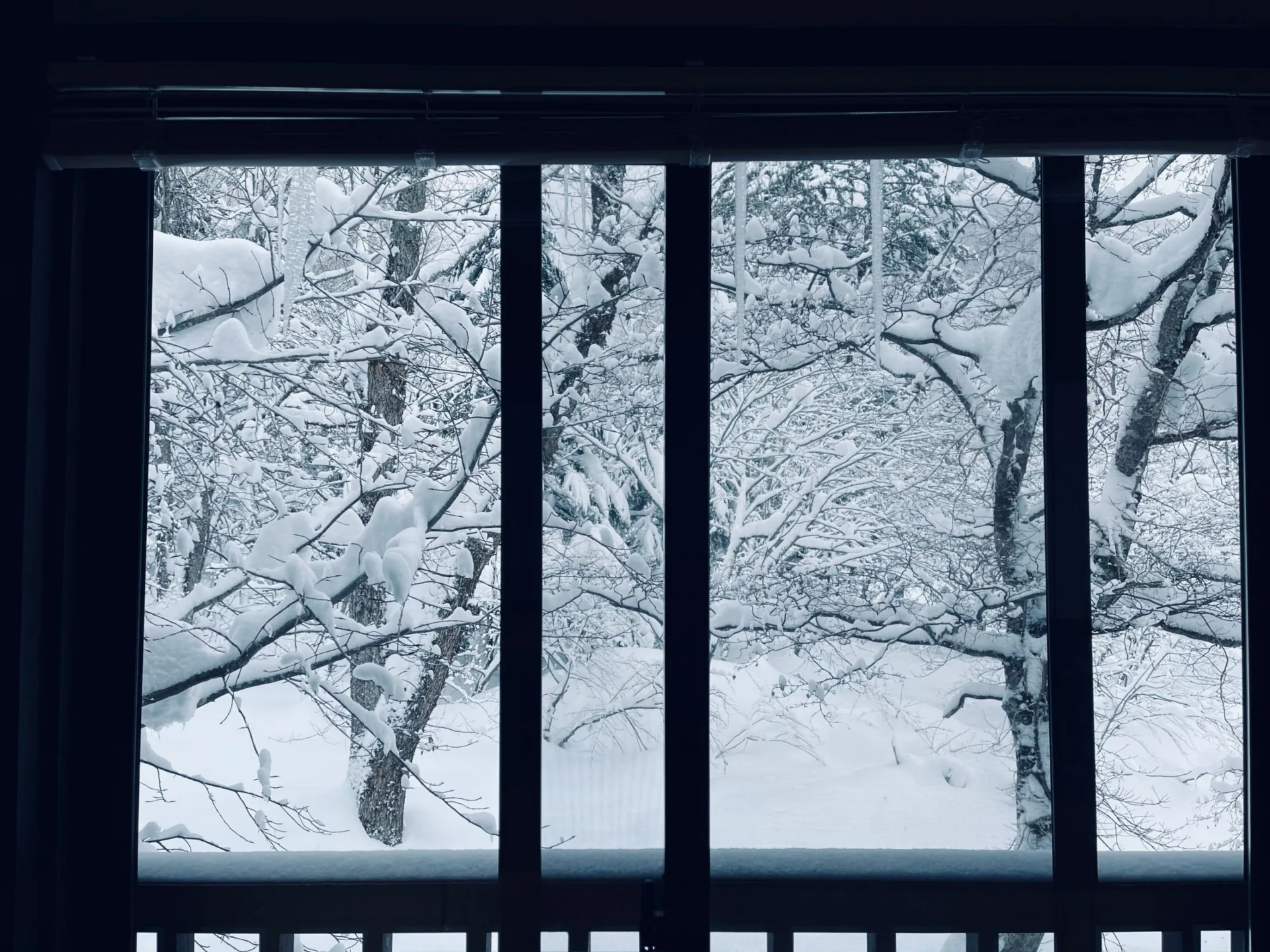 5 top tips to stop cold air from coming through windows