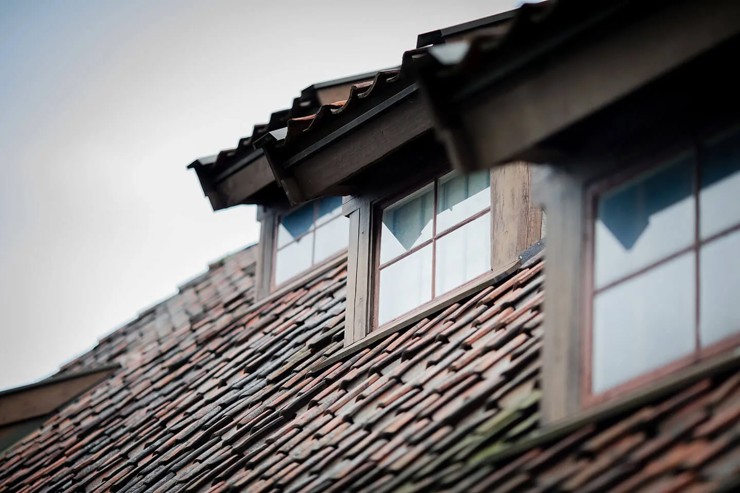 Energy Efficient Windows: What you need to know