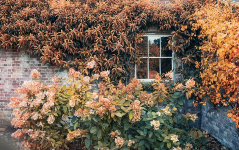 How To Get Your Home Winter Ready