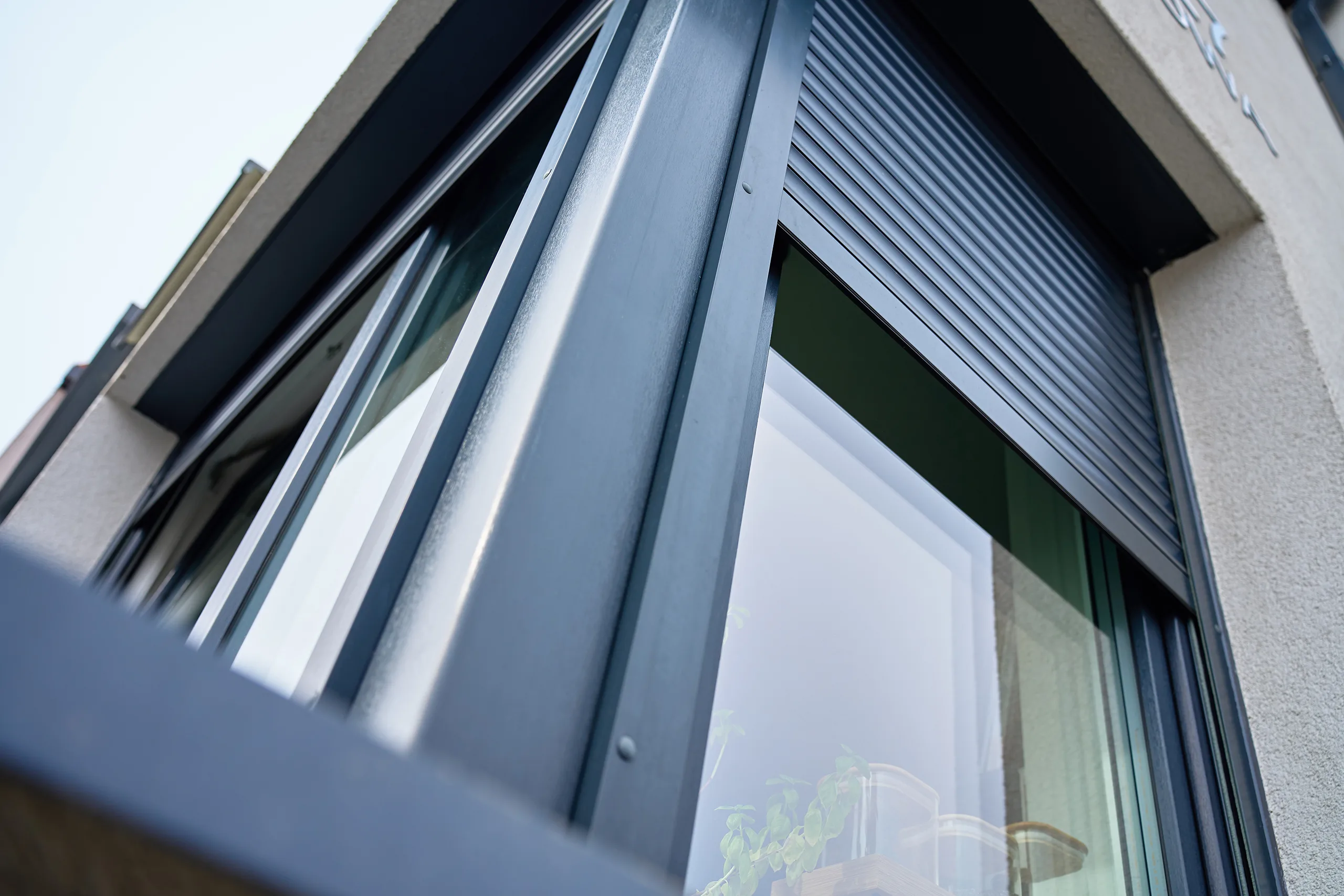 window with roller shutter